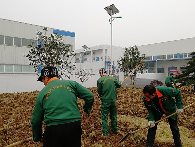 阿雷蒙施工