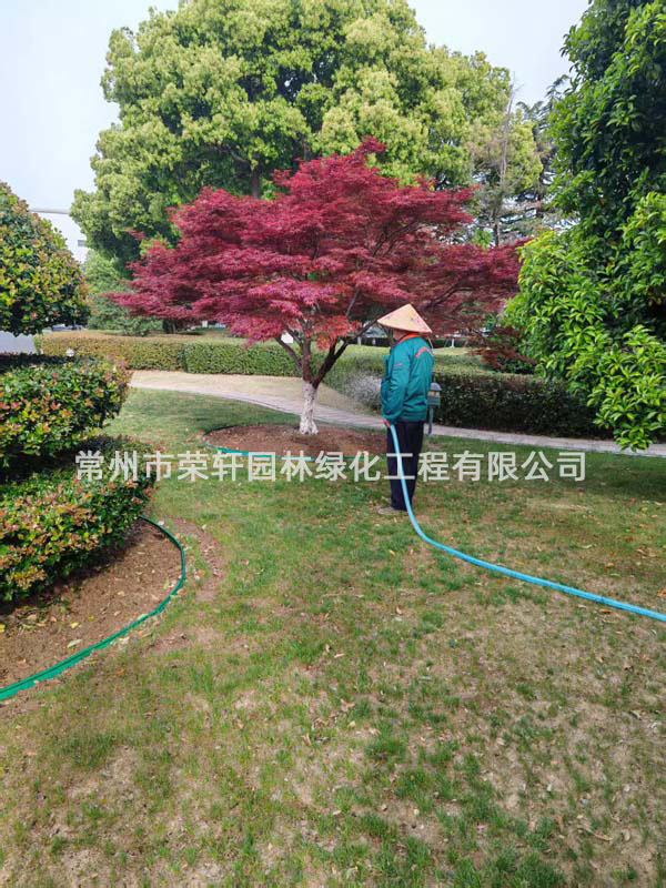 国茂减速机集团有限公司