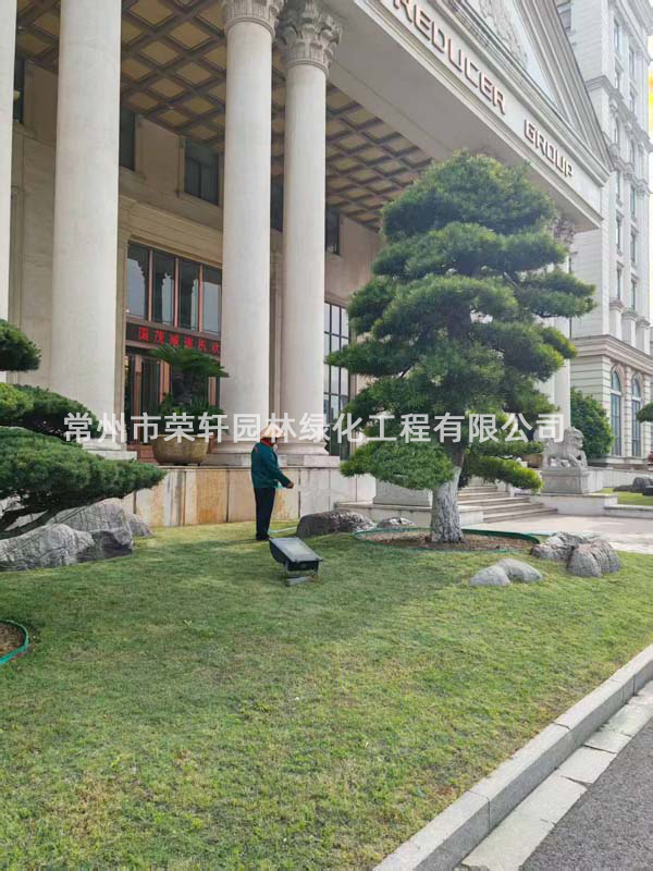 国茂减速机集团有限公司